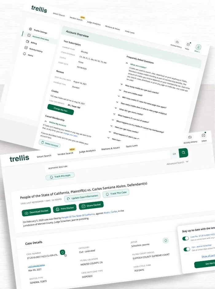 Angled screens of a Trellis docket page and a case overview